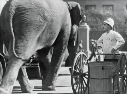 MV5BMjA0Mjg5MjcxMV5BMl5BanBnXkFtZTcwOTY3NzE5Ng@@._V1._SX640_SY476_