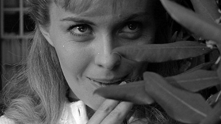 tumblr_m6v0ppR0ib1qin1i9