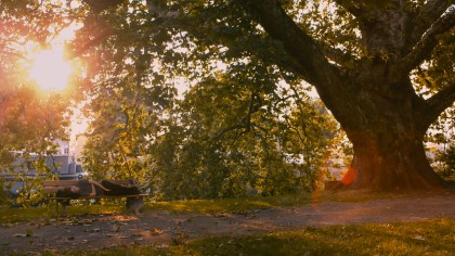 yrQ0A9jRWigig18ojSH07ZLgJeu-1